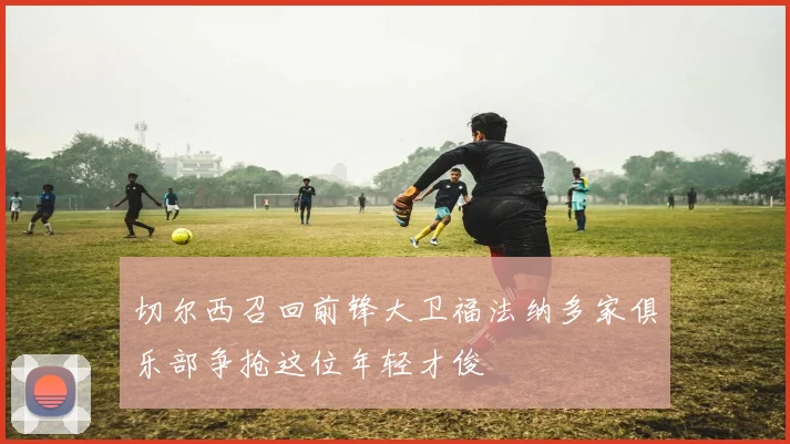 切尔西召回前锋大卫福法纳多家俱乐部争抢这位年轻才俊